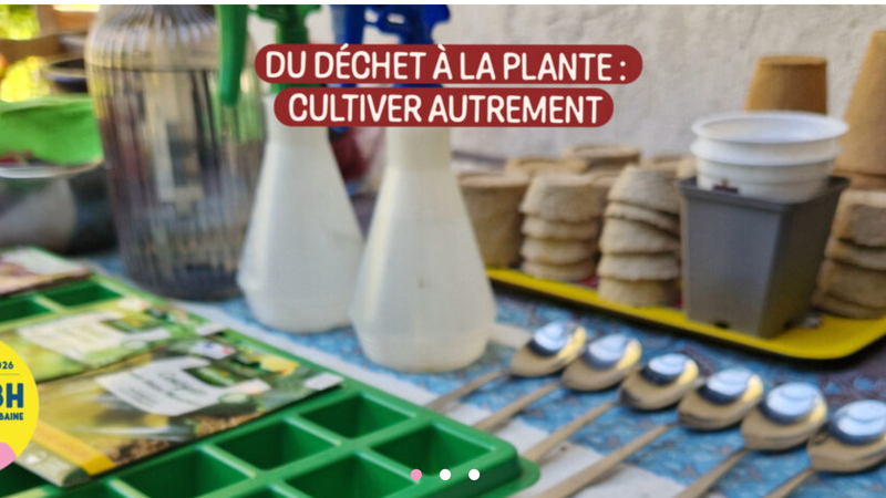 Du déchet à la plante : cultiver autrement