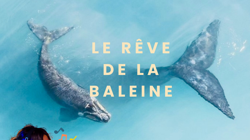 Atelier Bien-Être Immersif : Le Rêve de la Baleine