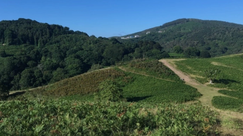 Randonnée Sentier des mulets