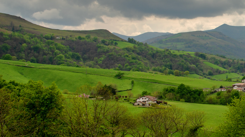 Randonnée de Halsou : forêt, ruisseaux et vallée de la Nive